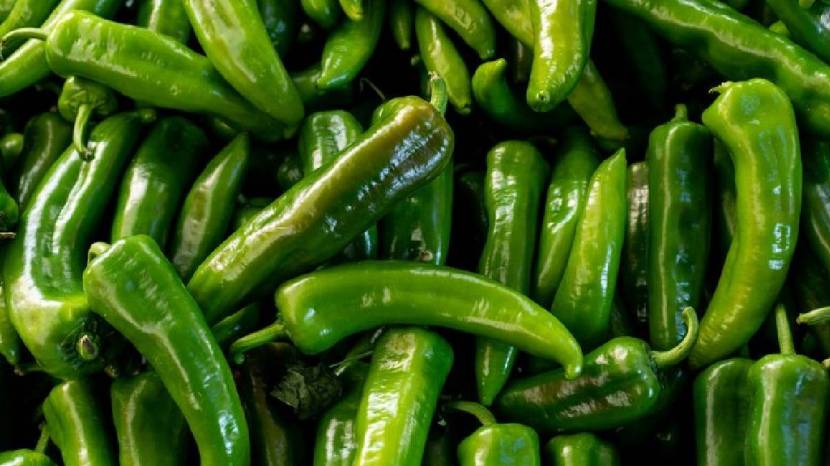 How to store green chillies