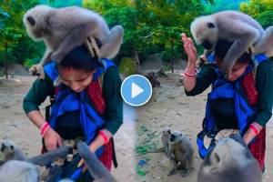 The monkey sat on the woman's head