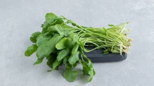 Radish leaves are more beneficial