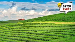 Tea City of India