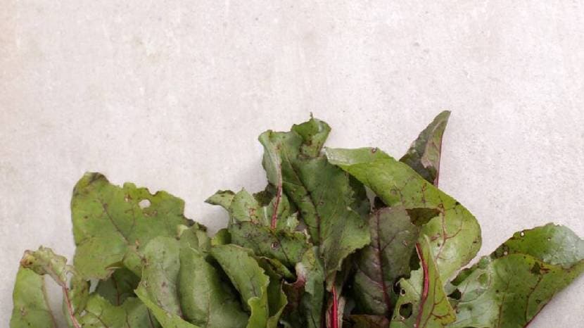 Radish leaves are beneficial for health