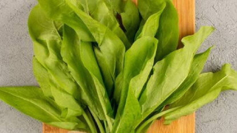 Radish leaves are beneficial for health