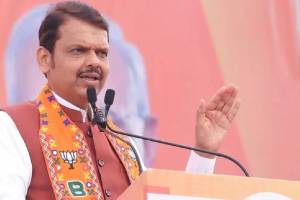 Devendra Fadnavis On Beed District Guardian Minister