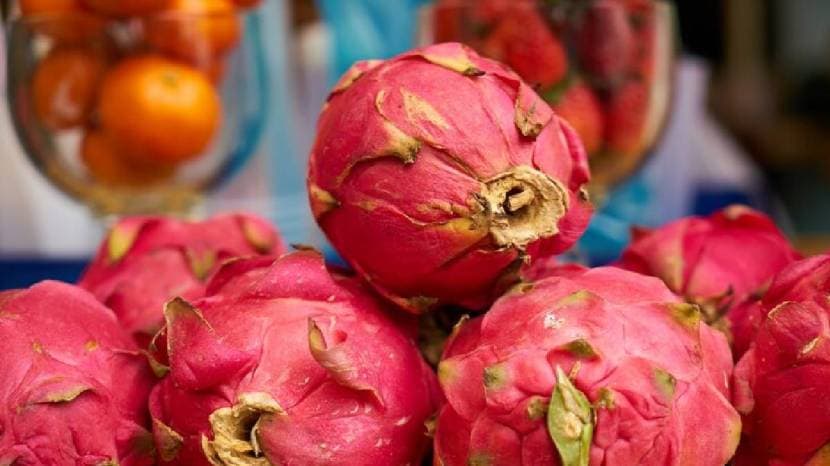 Dragon Fruit Benefits