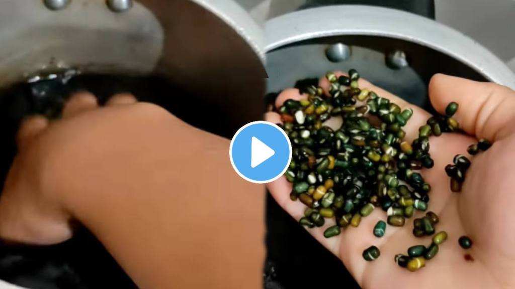 Shocking video 'Kali Dal' Turns Water Black; Himachal Pradesh woman Records Adulteration Incident In Viral Video