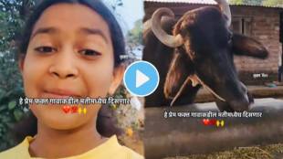 A little girl is talking to a buffalo funny video goes viral on social media