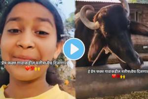 A little girl is talking to a buffalo funny video goes viral on social media