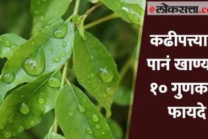 Curry Leaves Benefits