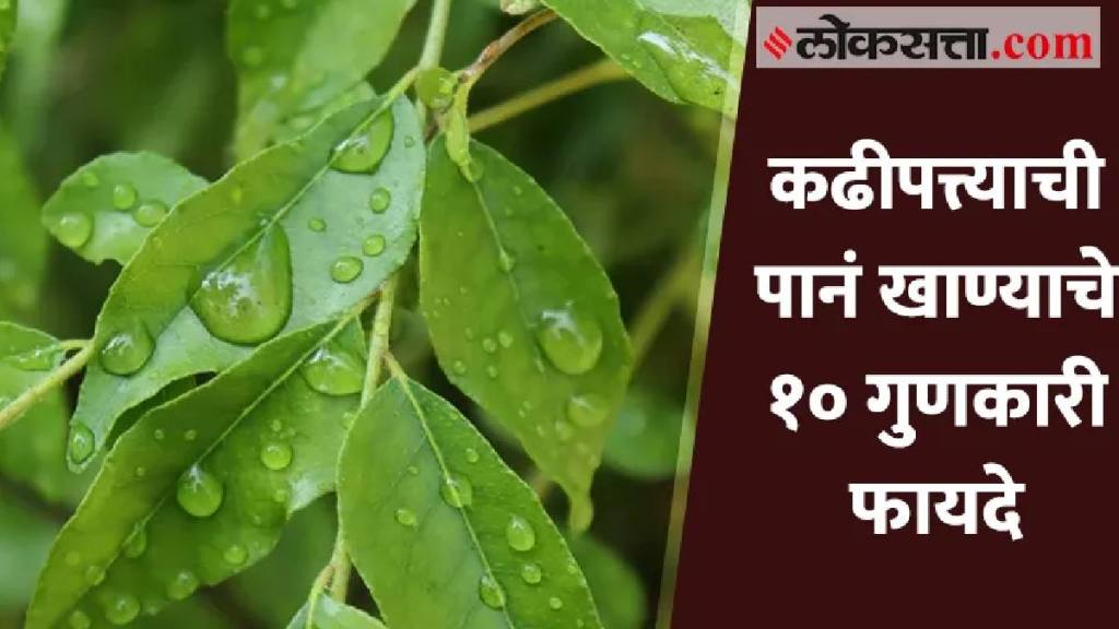 Curry Leaves Benefits