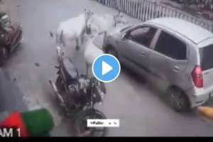 Shocking video A car drags a cow calf walking across the road for 200 meters watch what happened next