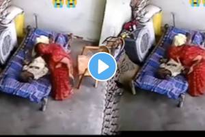 Shocking video woman booked for assaulting father in law with walking stick shocking video goes viral