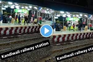 Viral video of a fight between some local train passengers on a kandivali railway station is currently going viral on social media