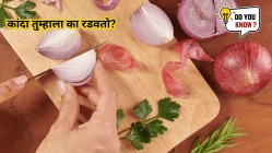 कांदा तुम्हाला का रडवतो? जाणून घ्या कारण…