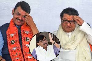 Sanjay Raut on Raj Thackeray