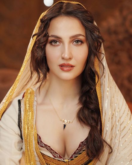 Elli avrRam 