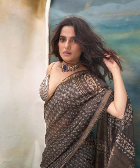 Pirya Bapat sexy saree look