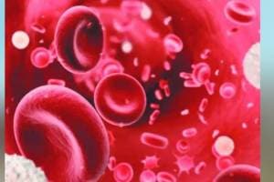 A total of 19264 sickle cell patients in Maharashtra Mumbai news