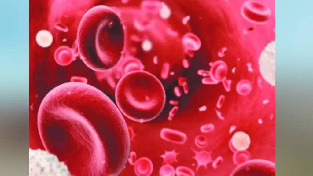 A total of 19264 sickle cell patients in Maharashtra Mumbai news