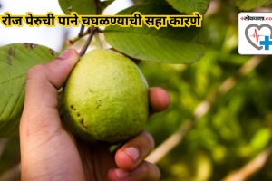 Six reasons to start chewing guava leaves every day