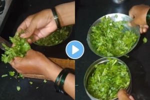 How to keep green coriander fresh for 2-3 days without a fridge