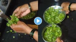 Kitchen Jugaad : फ्रिज न वापरता २-३ दिवस कोथिंबीर अशी ठेवा हिरवीगार, भन्नाट जुगाड पाहून व्हाल थक्क; Viral Video