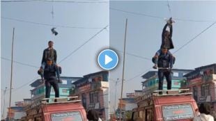 Video of men rescuing pigeon tangled in wires shows not all heroes wear capes