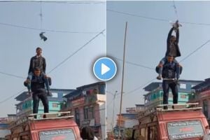 Video of men rescuing pigeon tangled in wires shows not all heroes wear capes