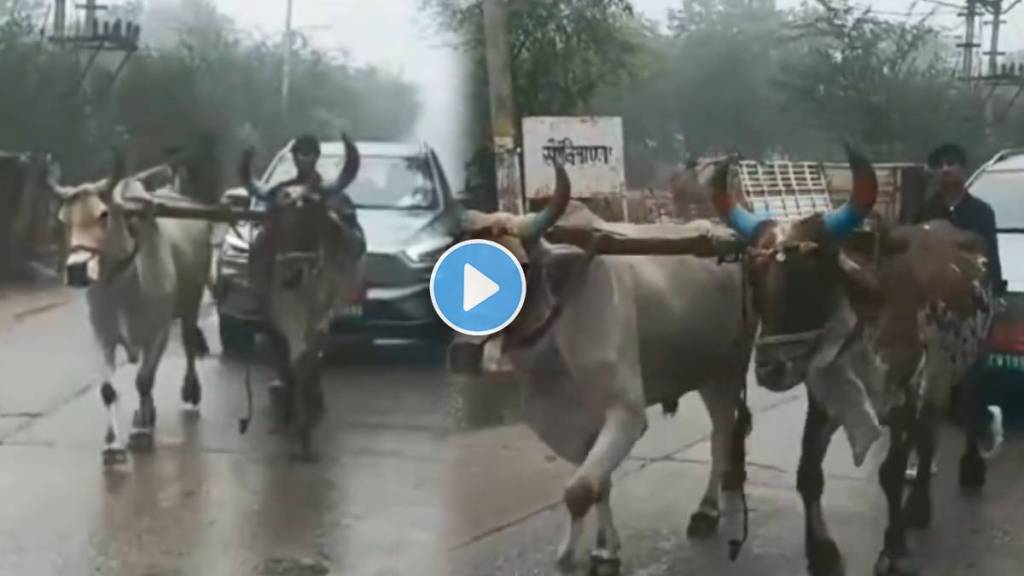 Viral Video Shows Car Pulled By Oxen