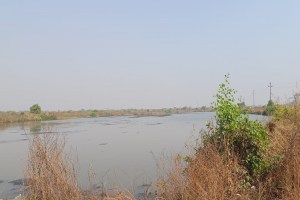 Salt water agriculture Uran , farmers Uran,