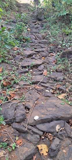 historical treasure of shivaji maharaj era found at raipatan in rajapur