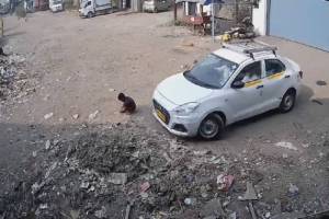 a private company driver ran over a child playing on the road Vasai news In Vasai