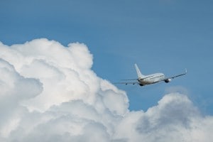 Mumbai Airport Ganja, Ganja seized, Mumbai, Ganja,