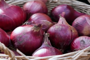 Onion Rate Solapur, Solapur Agricultural Produce Market Committee , Solapur onion, Solapur onion news,