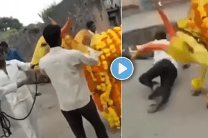 Bull attacked a person while he was dancing in front of him viral video on social media