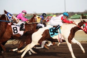 horse race Mumbai