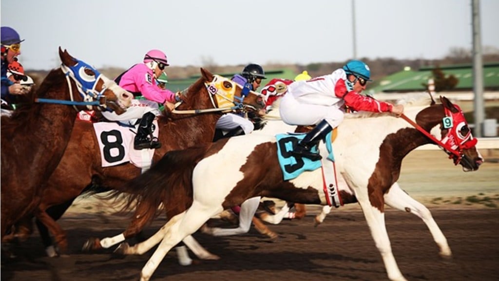 horse race Mumbai