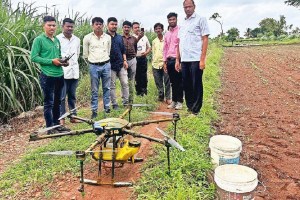 Nano Fertilisers loksatta marathi news