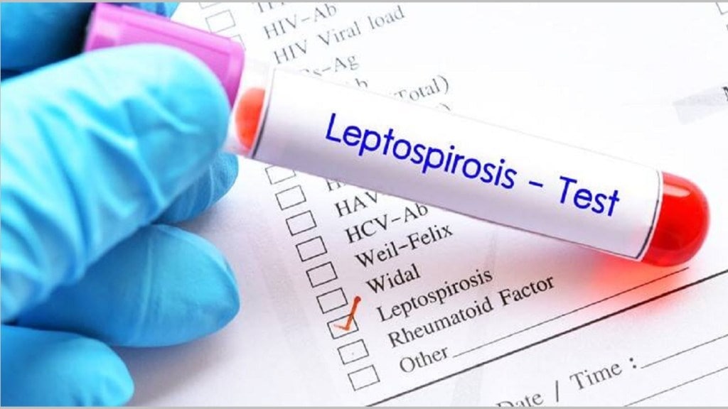 Leptospirosis deaths