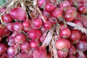 onion prices loksatta news