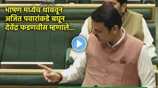 devendra fadnavis ajit pawar nana patole