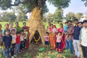 Farmers worship Goddess Mhasoba and Lakshmi along with the five Pandavas at Dharashiv