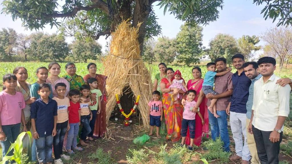 Farmers worship Goddess Mhasoba and Lakshmi along with the five Pandavas at Dharashiv