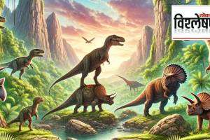 Fossilized dinosaur dung revealing Jurassic era secrets