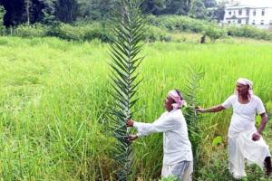 centre attempts to revive farm reforms unveils draft policy