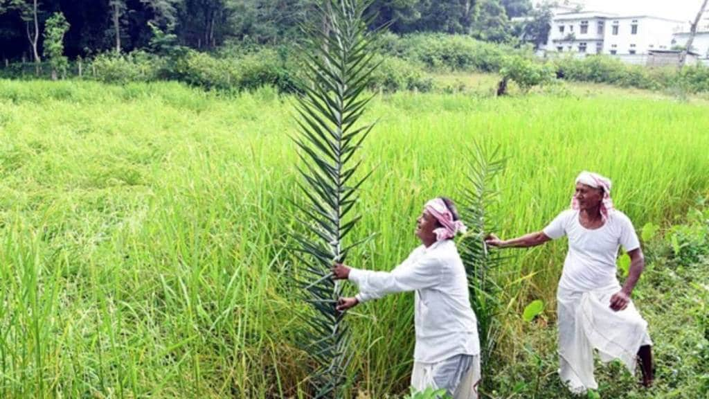 centre attempts to revive farm reforms unveils draft policy