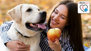 Feeding fruits to dog is okay or not which fruits should be fed to dogs know from experts