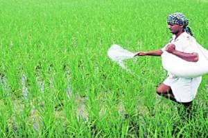 Announcements of organic natural farming Know how much the use of urea and other fertilizers has increased Mumbai news