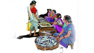 bmc to rehabilitate fisherwomen in tardeo