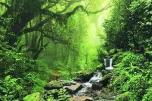 india forest report 2023 information in marathi