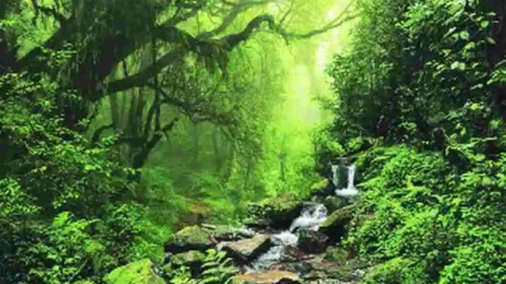 india forest report 2023 information in marathi